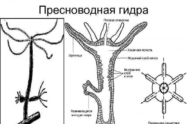 Мега сайт цена